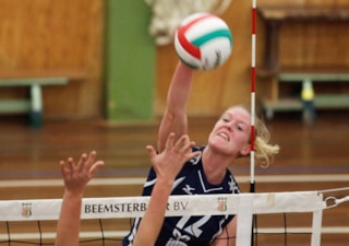 Bejo/Dinto D1 - Lycurgus D2 - Marije Bloem