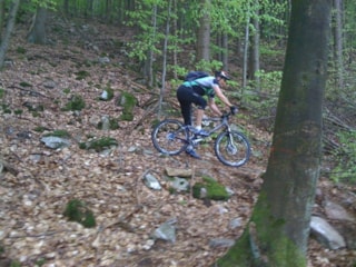 trainen in Naturpark Saar-Hunsrück.  Duitsland