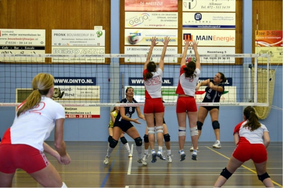 Bejo/Dinto- Gemini S 