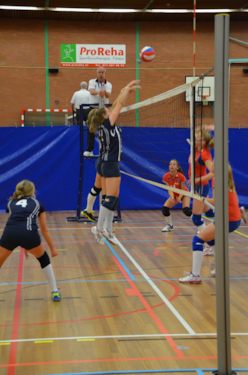 Blok van de Dinto meiden