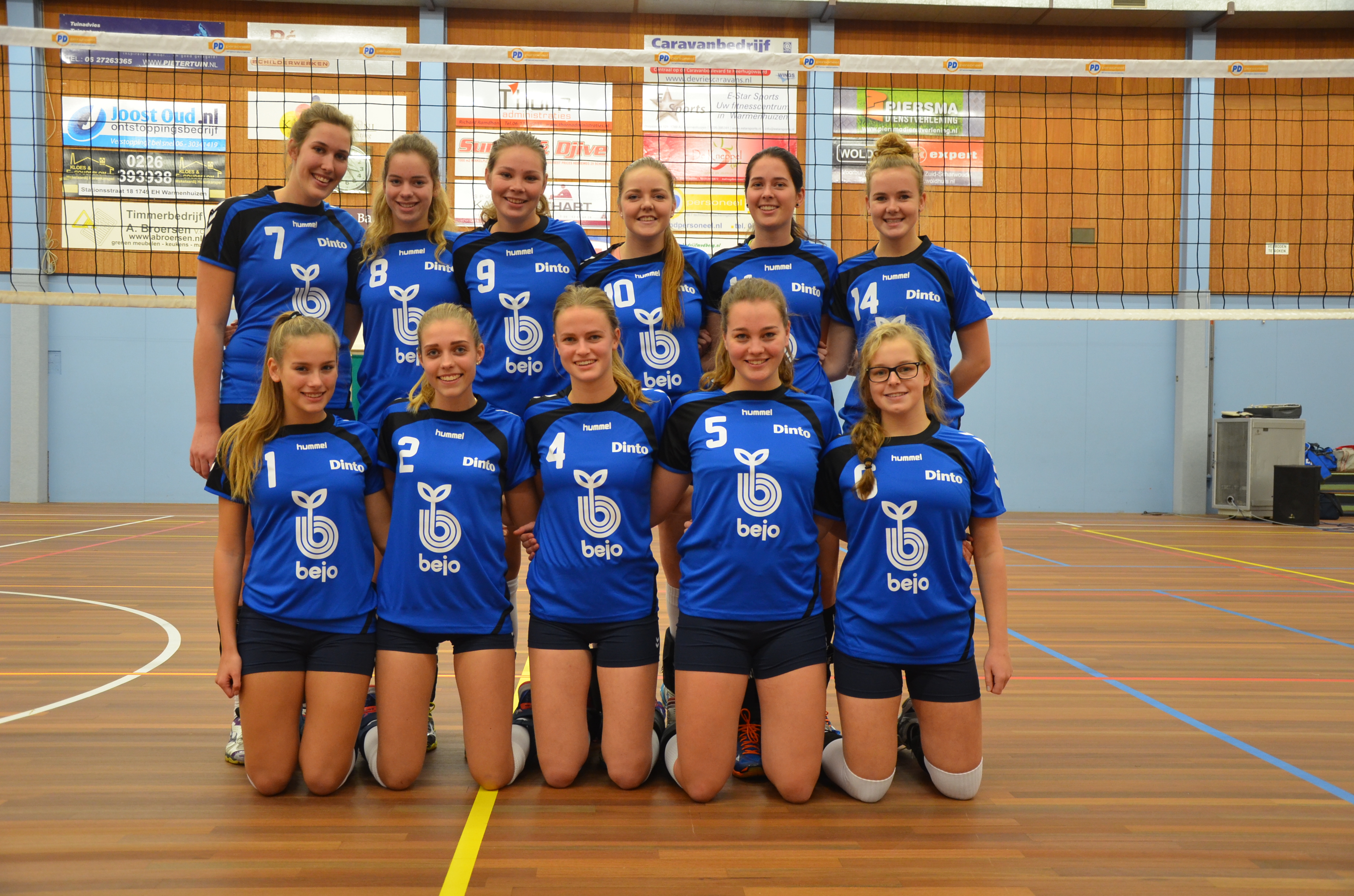 Bejo/Dinto Ds1  -  Compaen Ds2