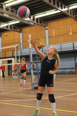 alle aandacht voor de bal