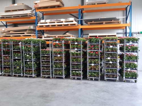 WhatsApp Image 2021-04-24 at 16.25.41 (1)