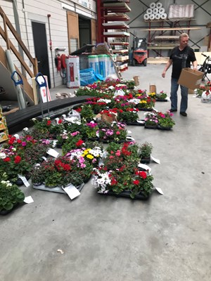 3BEF8F74-8CFE-4EEE-88E3-5713CF562957