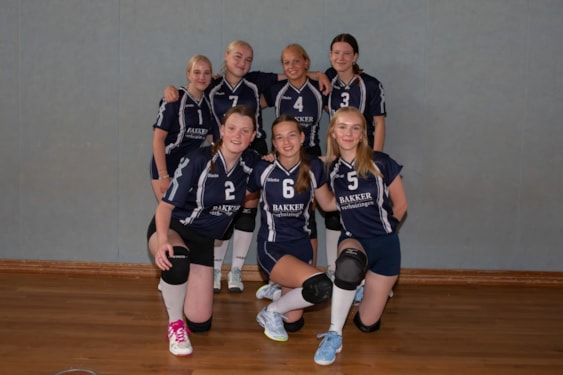 Dinto MA 2 2023-2024