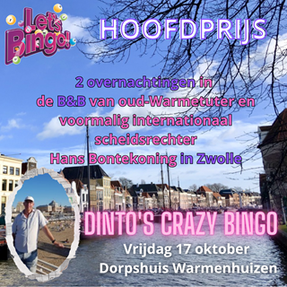 Dinto's Crazy Bingo - Bontekoning