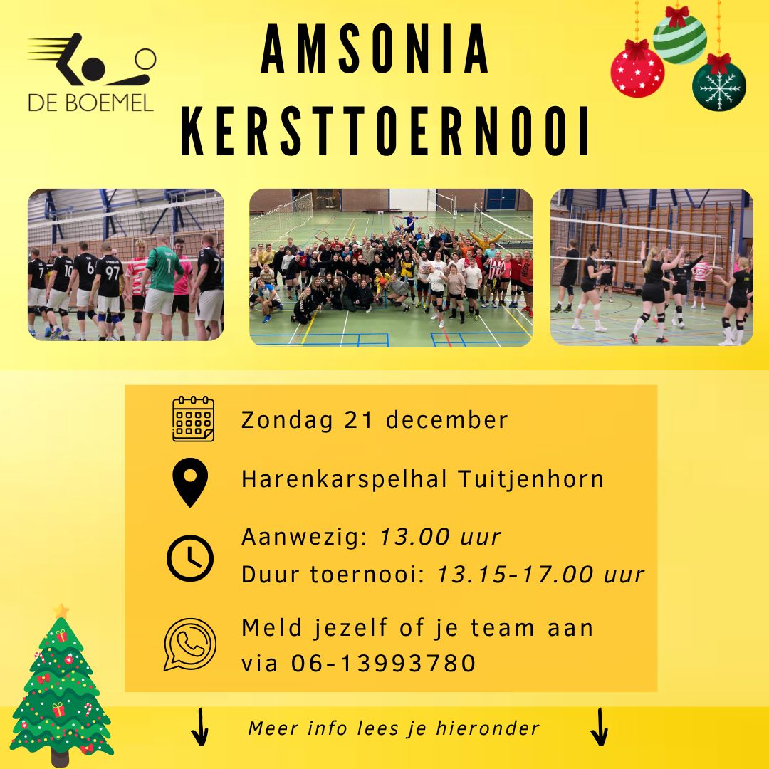 Kersttoernooi de Boemel
